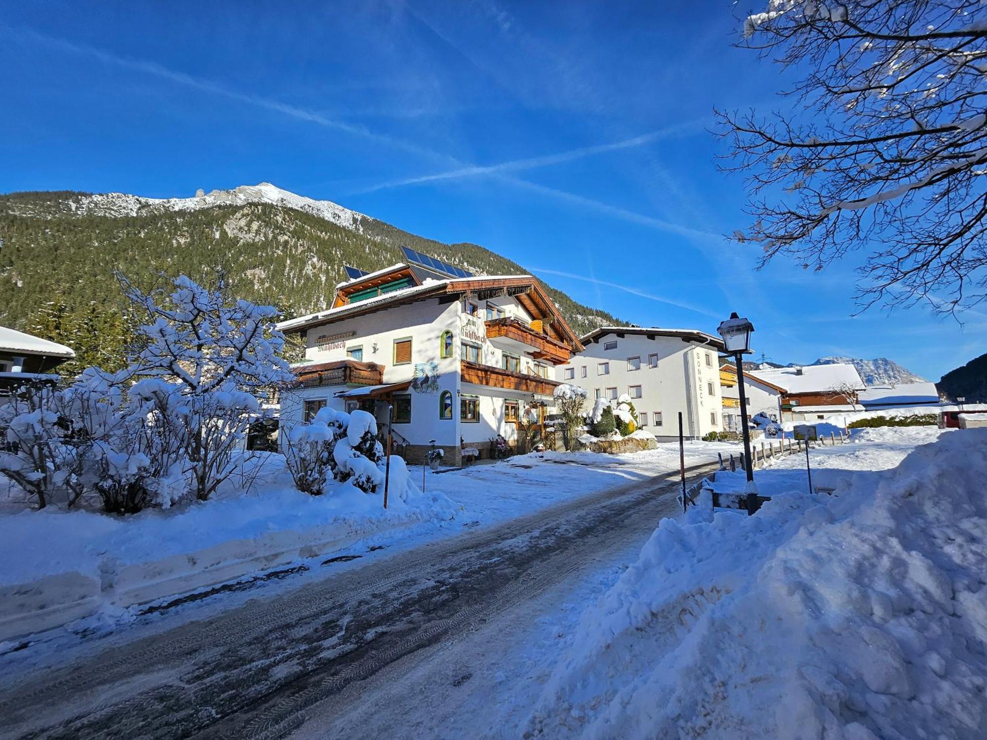 Am Muehlbach - Ferienwohnungen Luttinger Bichlbach Exteriér fotografie